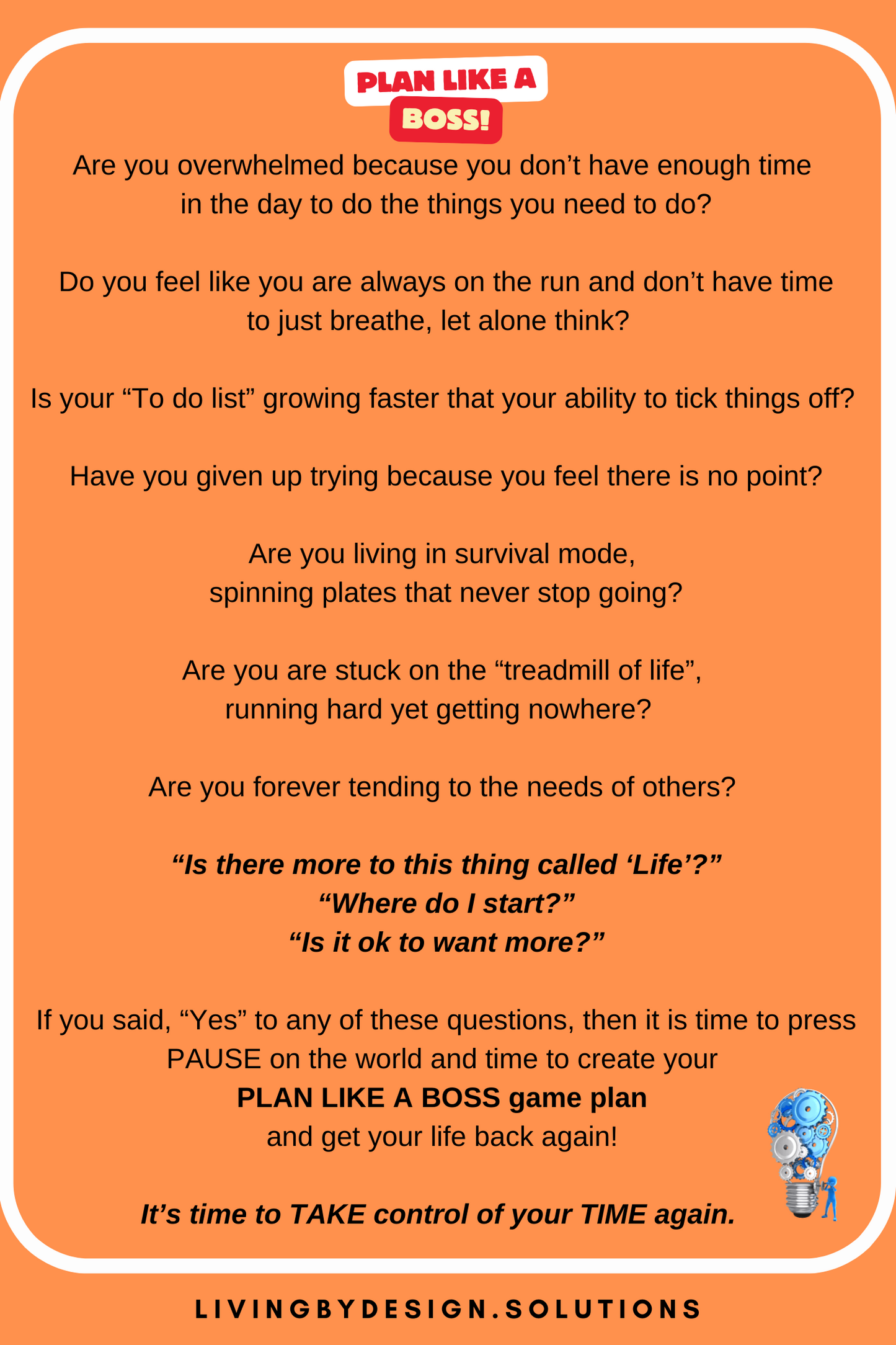 Plan like a Boss - the book