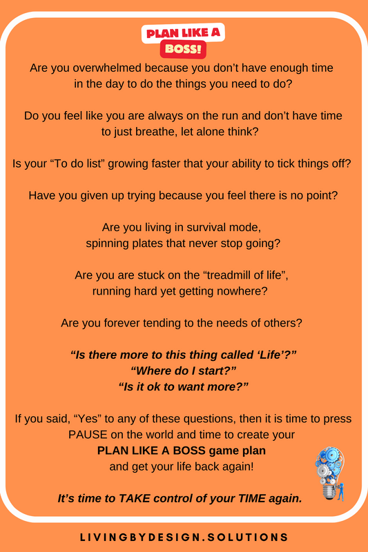 Plan like a Boss - the book