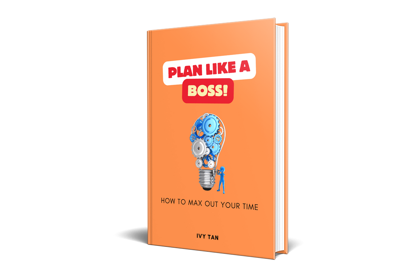 Plan like a Boss - the book